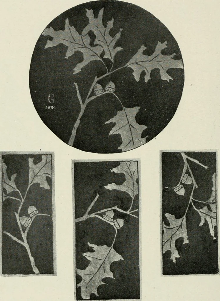 An illustration from Nature drawing from various points of view, 1910, leaf 143