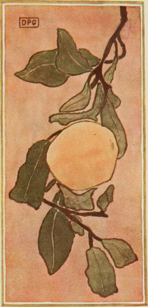 An illustration from Nature drawing from various points of view, 1910, leaf 148