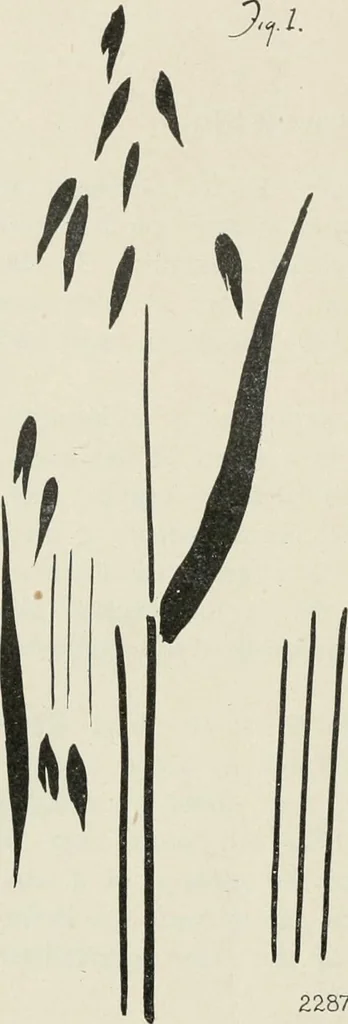 An illustration from Nature drawing from various points of view, 1910, leaf 151