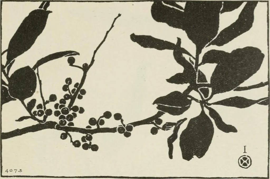 An illustration from Nature drawing from various points of view, 1910, leaf 154