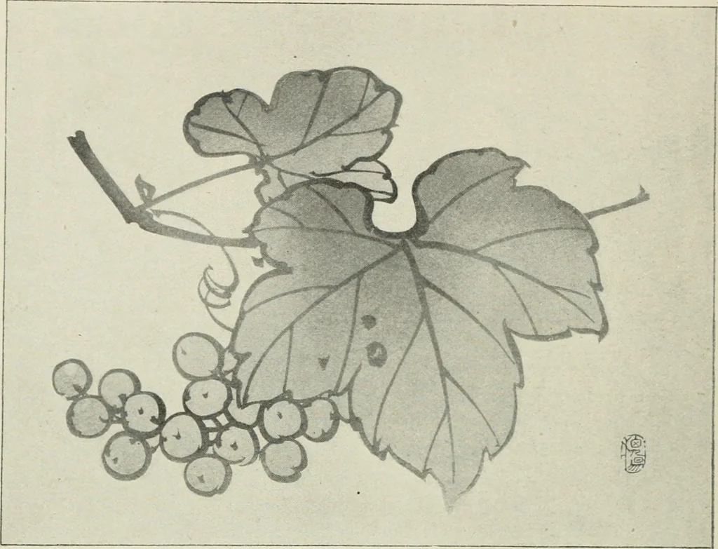 An illustration from Nature drawing from various points of view, 1910, leaf 167