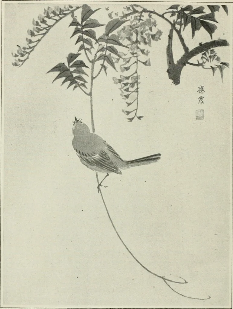 An illustration from Nature drawing from various points of view, 1910, leaf 169