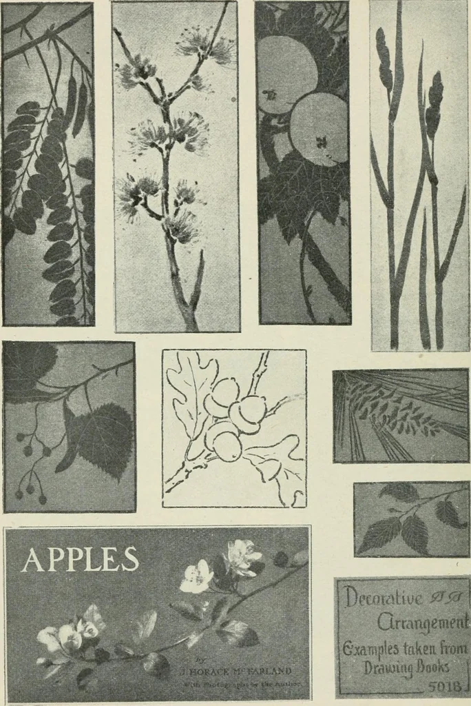 An illustration from Nature drawing from various points of view, 1910, leaf 171