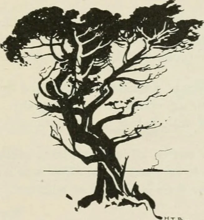 An illustration from Nature drawing from various points of view, 1910, leaf 174