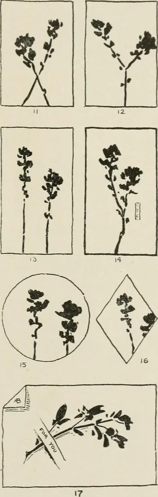 An illustration from Nature drawing from various points of view, 1910, leaf 20