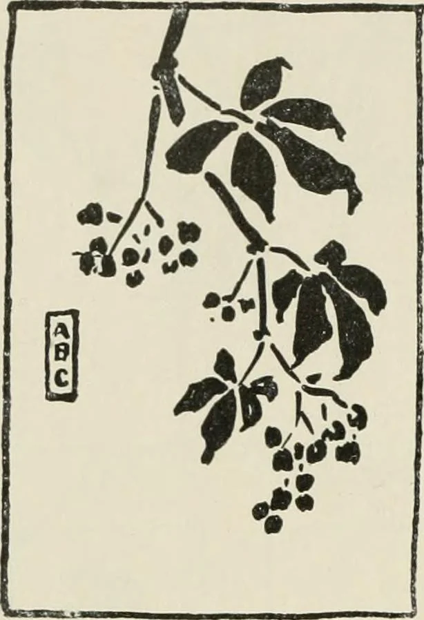 An illustration from Nature drawing from various points of view, 1910, leaf 23