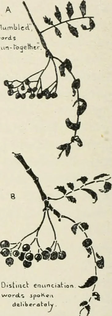 An illustration from Nature drawing from various points of view, 1910, leaf 27