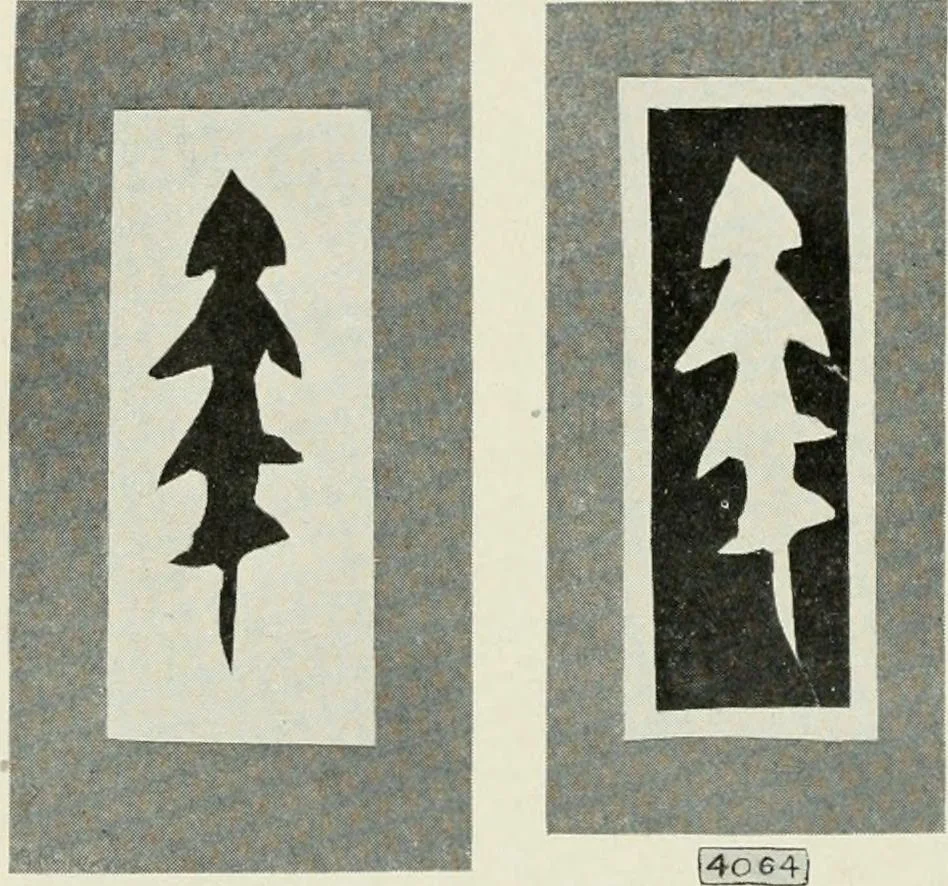 An illustration from Nature drawing from various points of view, 1910, leaf 47