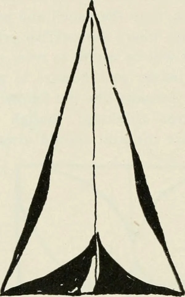 An illustration from Nature drawing from various points of view, 1910, leaf 53