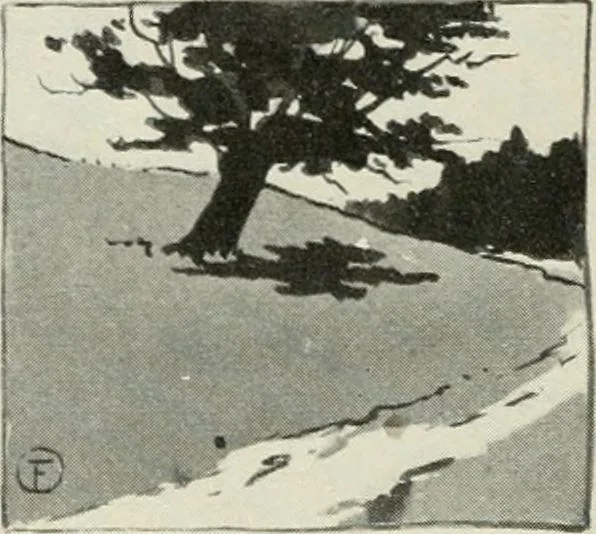 An illustration from Nature drawing from various points of view, 1910, leaf 55