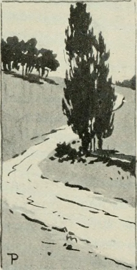 An illustration from Nature drawing from various points of view, 1910, leaf 55