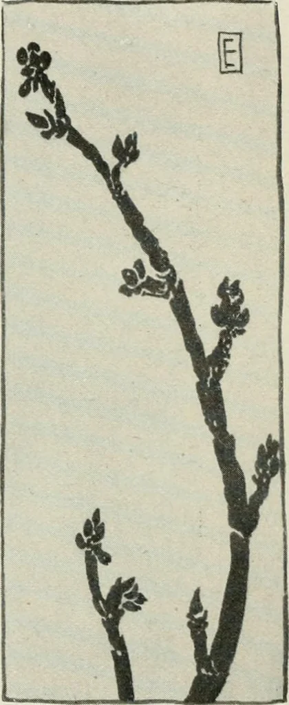 An illustration from Nature drawing from various points of view, 1910, leaf 59