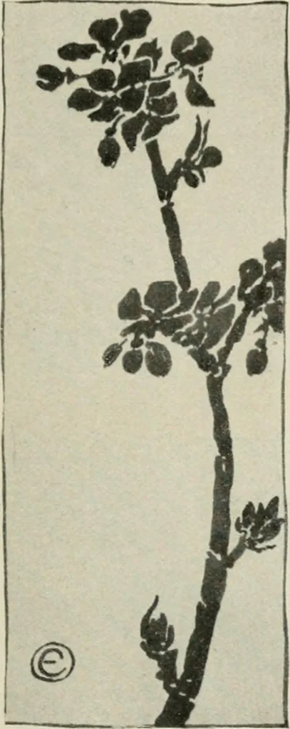 An illustration from Nature drawing from various points of view, 1910, leaf 60