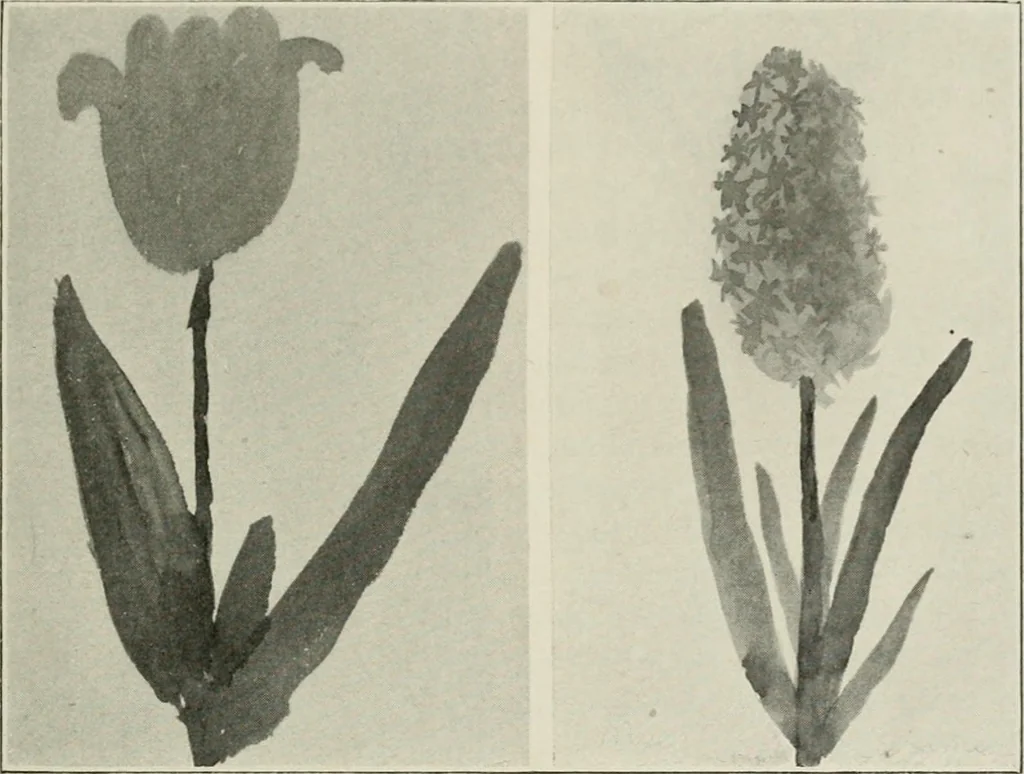 An illustration from Nature drawing from various points of view, 1910, leaf 70