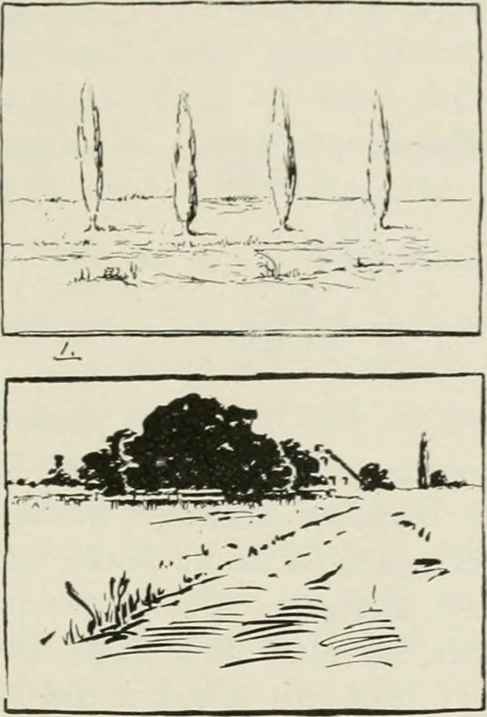 An illustration from Nature drawing from various points of view, 1910, leaf 82