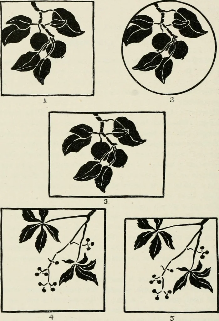An illustration from Nature drawing from various points of view, 1910, leaf 93