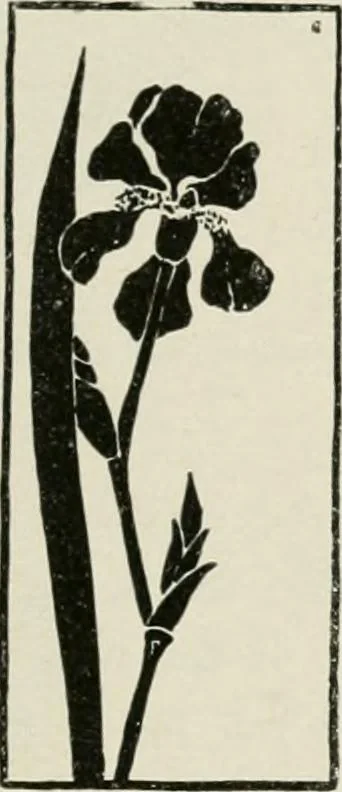 An illustration from Nature drawing from various points of view, 1910, leaf 94