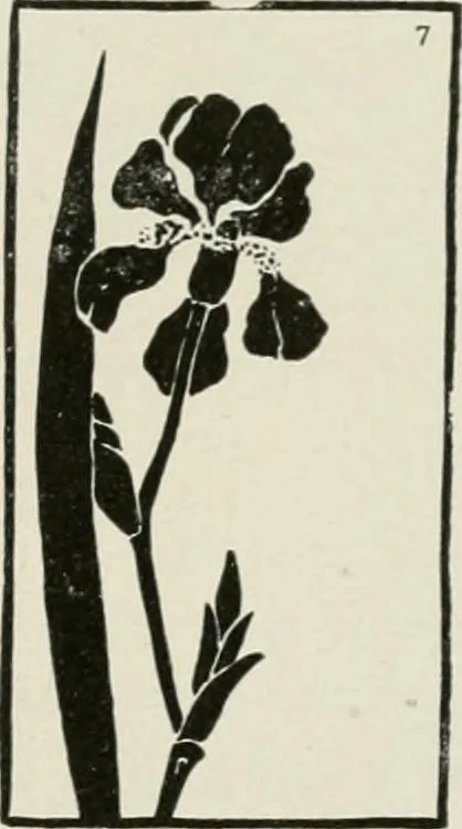 An illustration from Nature drawing from various points of view, 1910, leaf 94