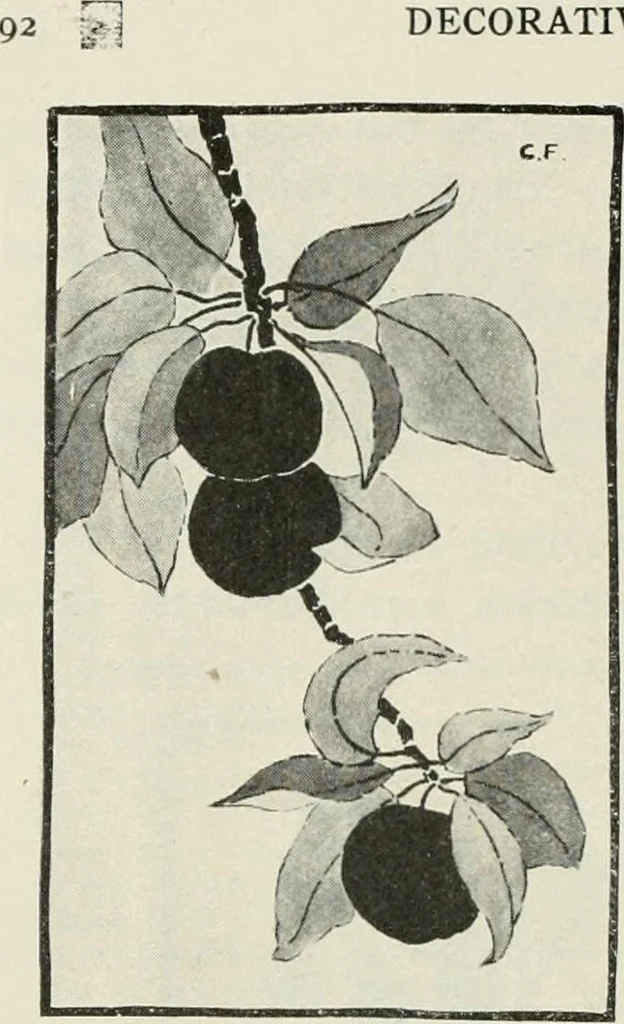An illustration from Nature drawing from various points of view, 1910, leaf 95