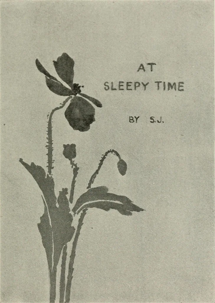 An illustration from Nature drawing from various points of view, 1910, leaf 98
