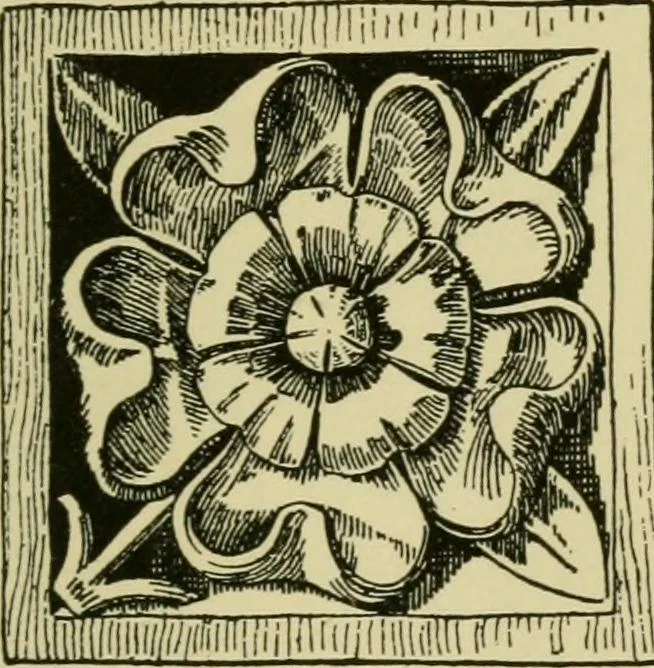 An illustration from Nature in ornament; an enquiry into the natural element in ornamental design & a survey of the ornamental treatment of natural forms, 1902, leaf 132