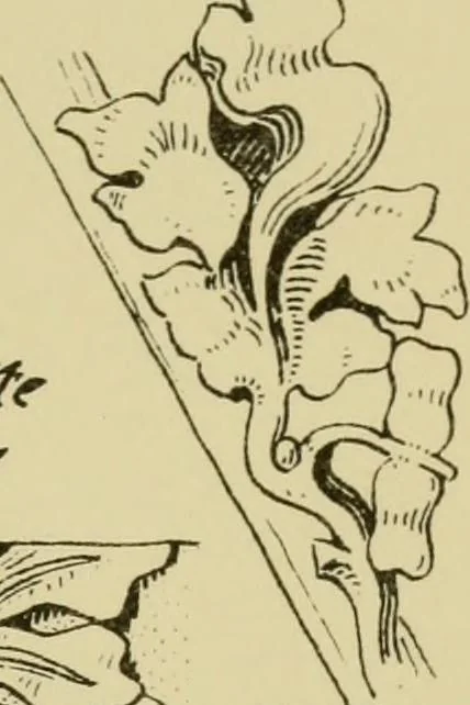 An illustration from Nature in ornament; an enquiry into the natural element in ornamental design & a survey of the ornamental treatment of natural forms, 1902, leaf 150