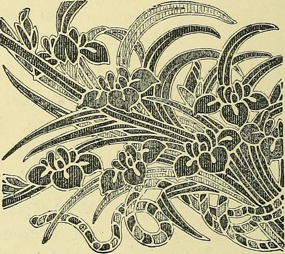 An illustration from Nature in ornament; an enquiry into the natural element in ornamental design & a survey of the ornamental treatment of natural forms, 1902, leaf 153