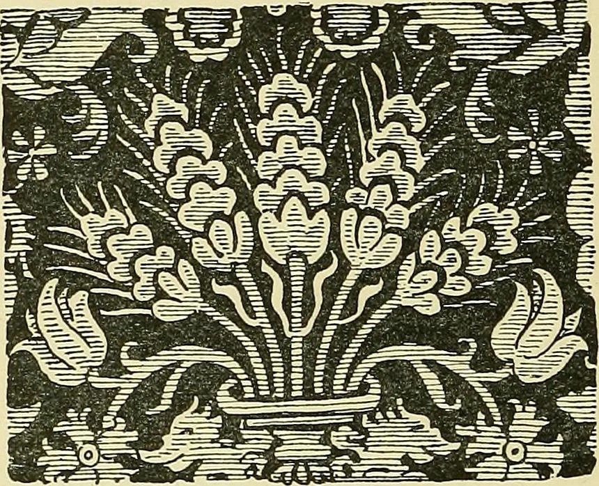 An illustration from Nature in ornament; an enquiry into the natural element in ornamental design & a survey of the ornamental treatment of natural forms, 1902, leaf 157