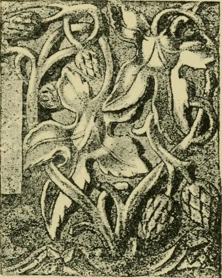 An illustration from Nature in ornament; an enquiry into the natural element in ornamental design & a survey of the ornamental treatment of natural forms, 1902, leaf 184