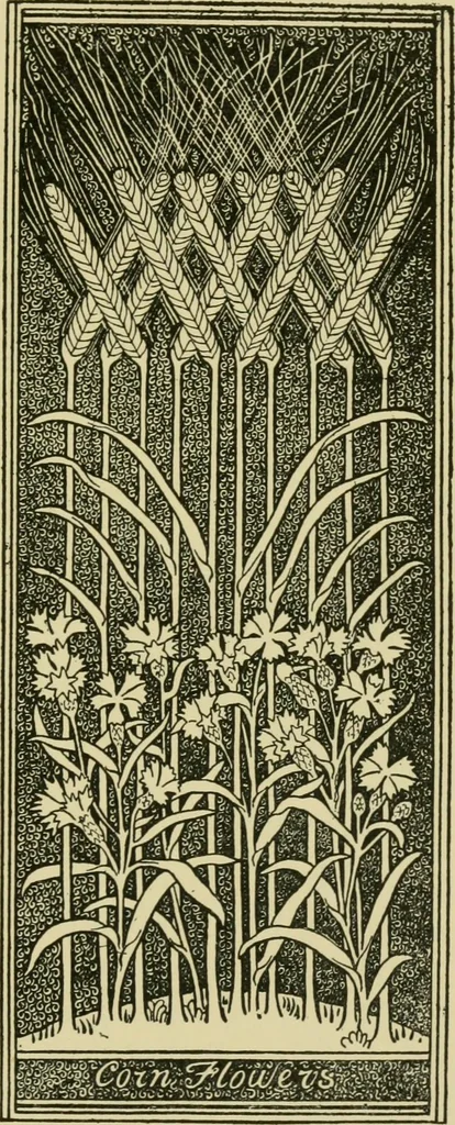 An illustration from Nature in ornament; an enquiry into the natural element in ornamental design & a survey of the ornamental treatment of natural forms, 1902, leaf 200