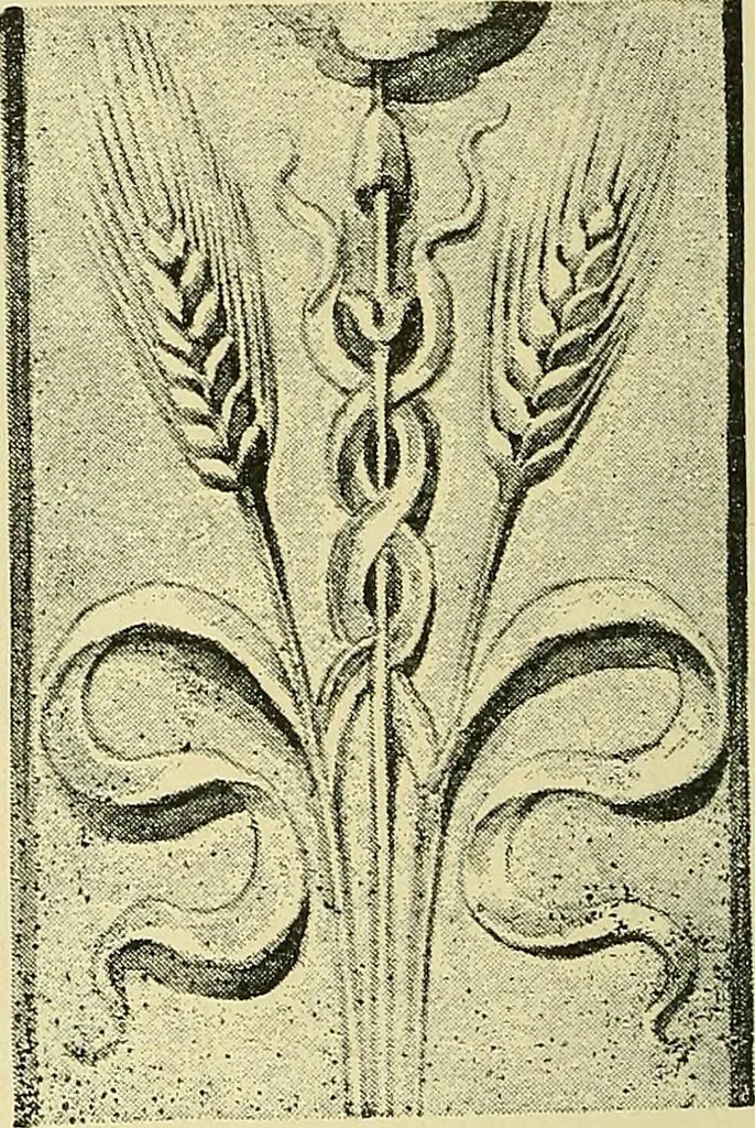 An illustration from Nature in ornament; an enquiry into the natural element in ornamental design & a survey of the ornamental treatment of natural forms, 1902, leaf 201