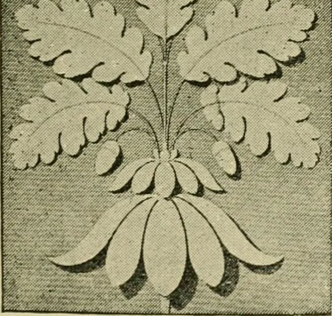 An illustration from Nature in ornament; an enquiry into the natural element in ornamental design & a survey of the ornamental treatment of natural forms, 1902, leaf 212