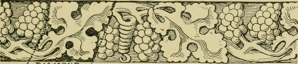 An illustration from Nature in ornament; an enquiry into the natural element in ornamental design & a survey of the ornamental treatment of natural forms, 1902, leaf 244