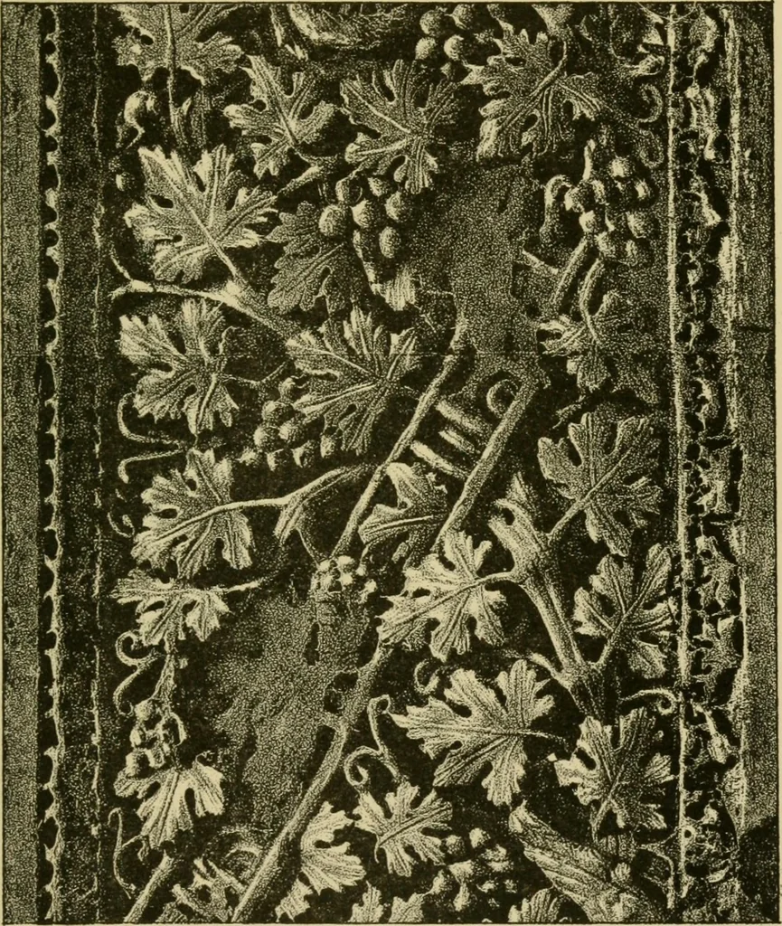 An illustration from Nature in ornament; an enquiry into the natural element in ornamental design & a survey of the ornamental treatment of natural forms, 1902, leaf 254