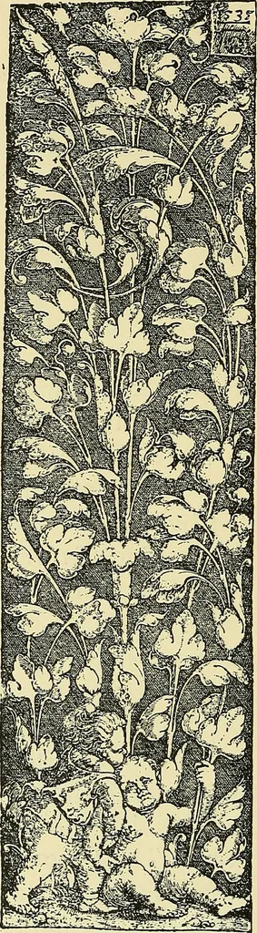 An illustration from Nature in ornament; an enquiry into the natural element in ornamental design & a survey of the ornamental treatment of natural forms, 1902, leaf 269