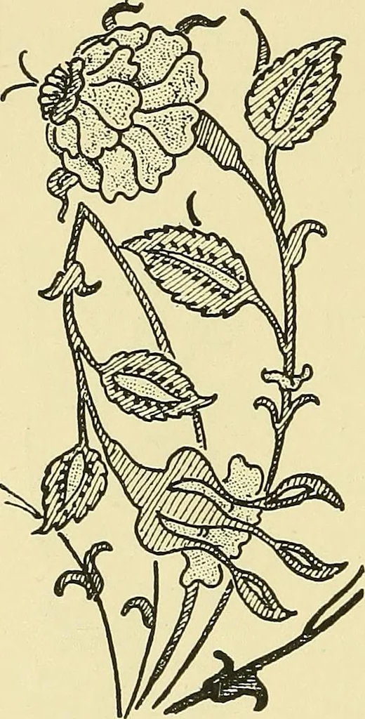An illustration from Nature in ornament; an enquiry into the natural element in ornamental design & a survey of the ornamental treatment of natural forms, 1902, leaf 297