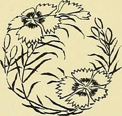 An illustration from Nature in ornament; an enquiry into the natural element in ornamental design & a survey of the ornamental treatment of natural forms, 1902, leaf 303