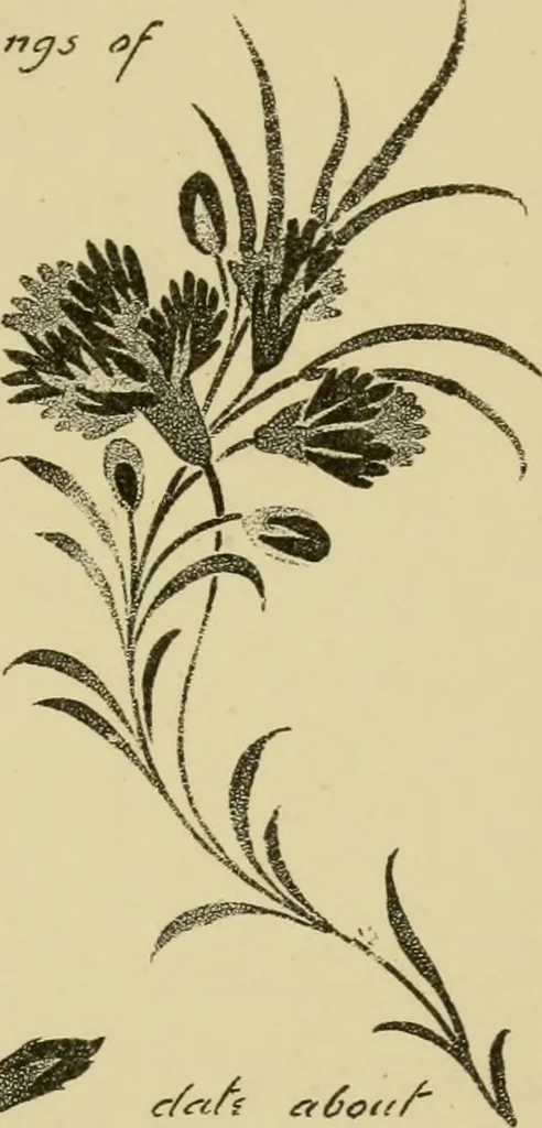 An illustration from Nature in ornament; an enquiry into the natural element in ornamental design & a survey of the ornamental treatment of natural forms, 1902, leaf 304