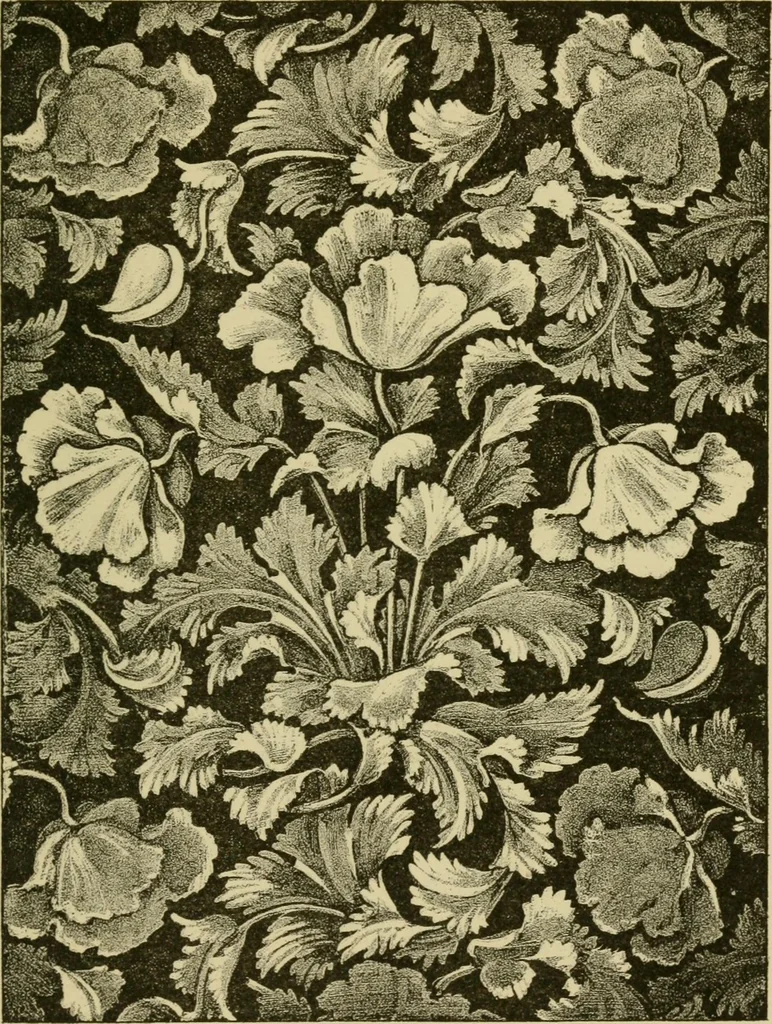 An illustration from Nature in ornament; an enquiry into the natural element in ornamental design & a survey of the ornamental treatment of natural forms, 1902, leaf 310