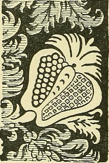 An illustration from Nature in ornament; an enquiry into the natural element in ornamental design & a survey of the ornamental treatment of natural forms, 1902, leaf 313