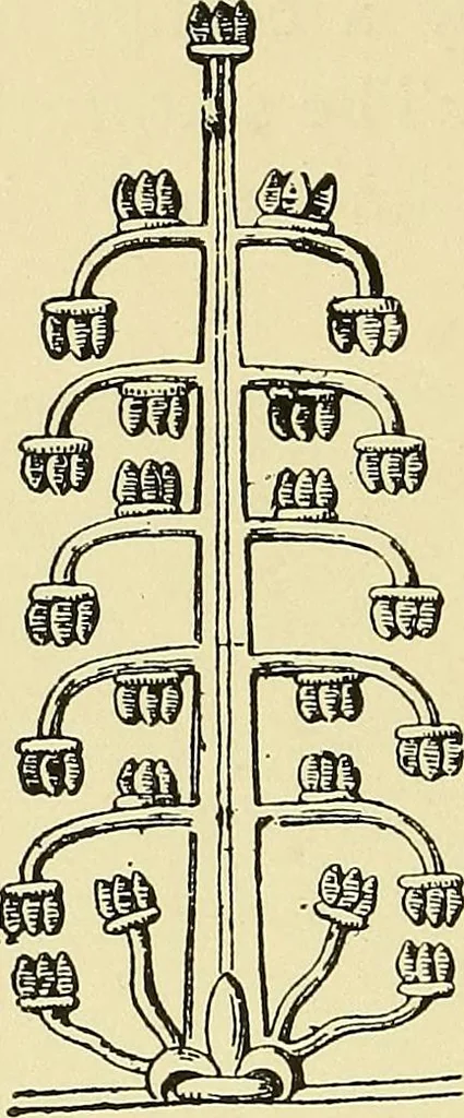 An illustration from Nature in ornament; an enquiry into the natural element in ornamental design & a survey of the ornamental treatment of natural forms, 1902, leaf 317