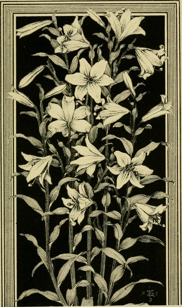 An illustration from Nature in ornament; an enquiry into the natural element in ornamental design & a survey of the ornamental treatment of natural forms, 1902, leaf 322