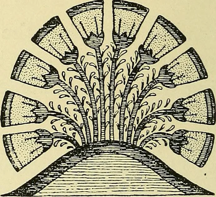 An illustration from Nature in ornament; an enquiry into the natural element in ornamental design & a survey of the ornamental treatment of natural forms, 1902, leaf 333