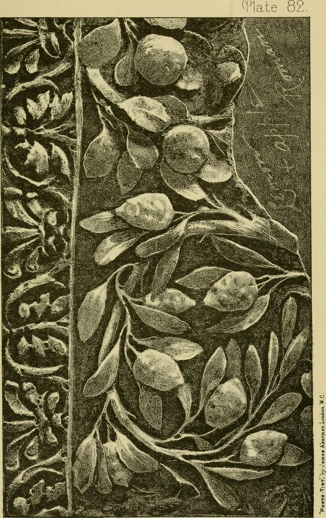 An illustration from Nature in ornament; an enquiry into the natural element in ornamental design & a survey of the ornamental treatment of natural forms, 1902, leaf 350