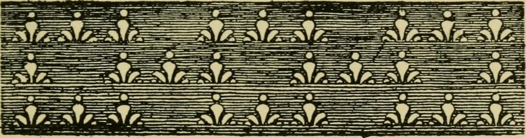 An illustration from Nature in ornament; an enquiry into the natural element in ornamental design & a survey of the ornamental treatment of natural forms, 1902, leaf 352
