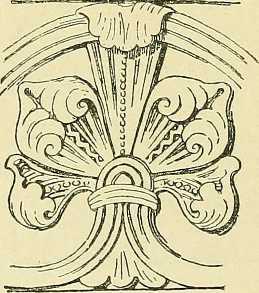 An illustration from Nature in ornament; an enquiry into the natural element in ornamental design & a survey of the ornamental treatment of natural forms, 1902, leaf 353