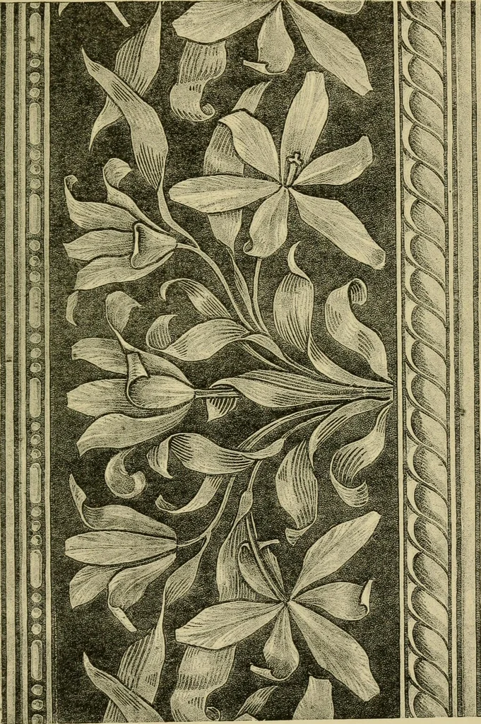 An illustration from Nature in ornament; an enquiry into the natural element in ornamental design & a survey of the ornamental treatment of natural forms, 1902, leaf 362