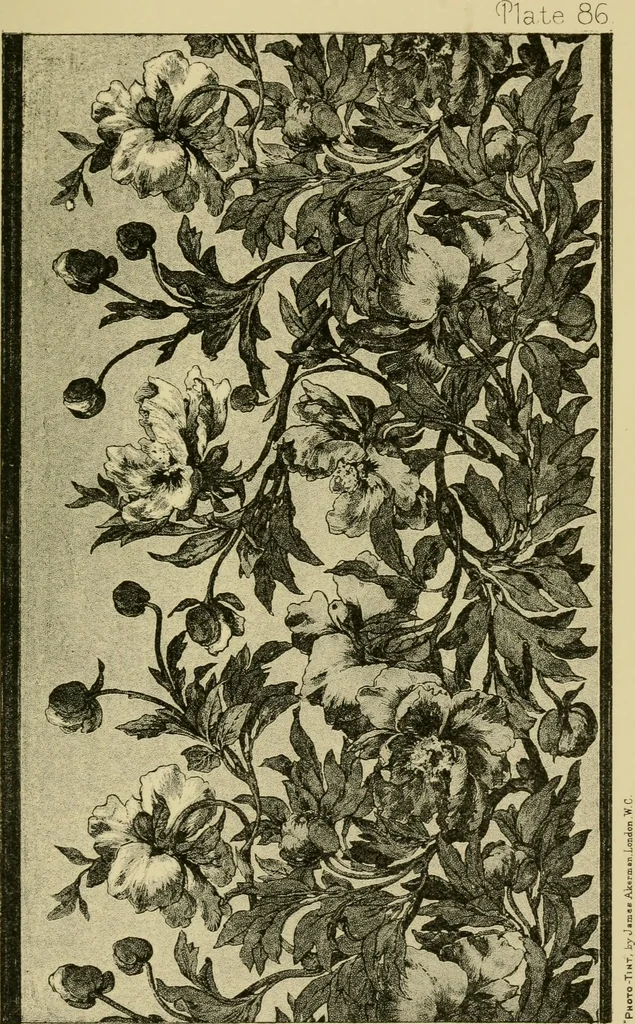 An illustration from Nature in ornament; an enquiry into the natural element in ornamental design & a survey of the ornamental treatment of natural forms, 1902, leaf 366