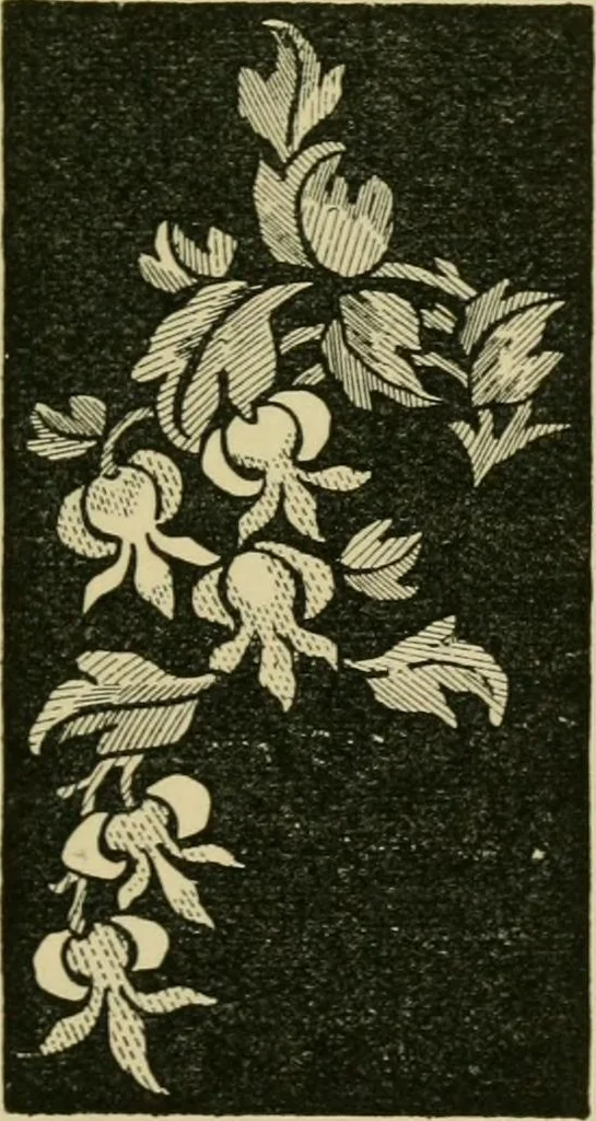 An illustration from Nature in ornament; an enquiry into the natural element in ornamental design & a survey of the ornamental treatment of natural forms, 1902, leaf 376