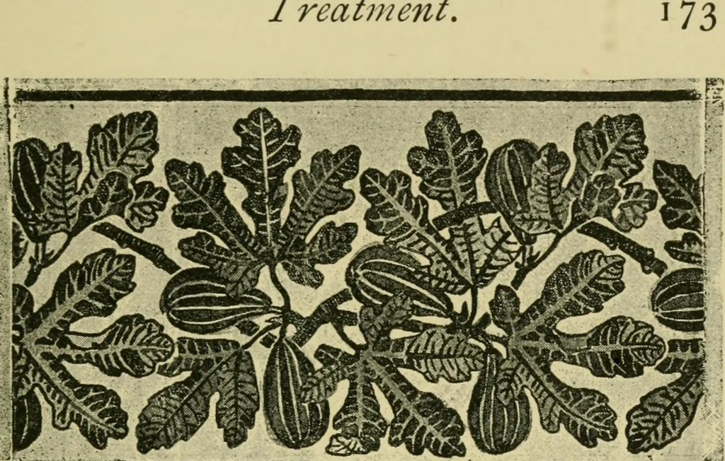 An illustration from Nature in ornament; an enquiry into the natural element in ornamental design & a survey of the ornamental treatment of natural forms, 1902, leaf 380